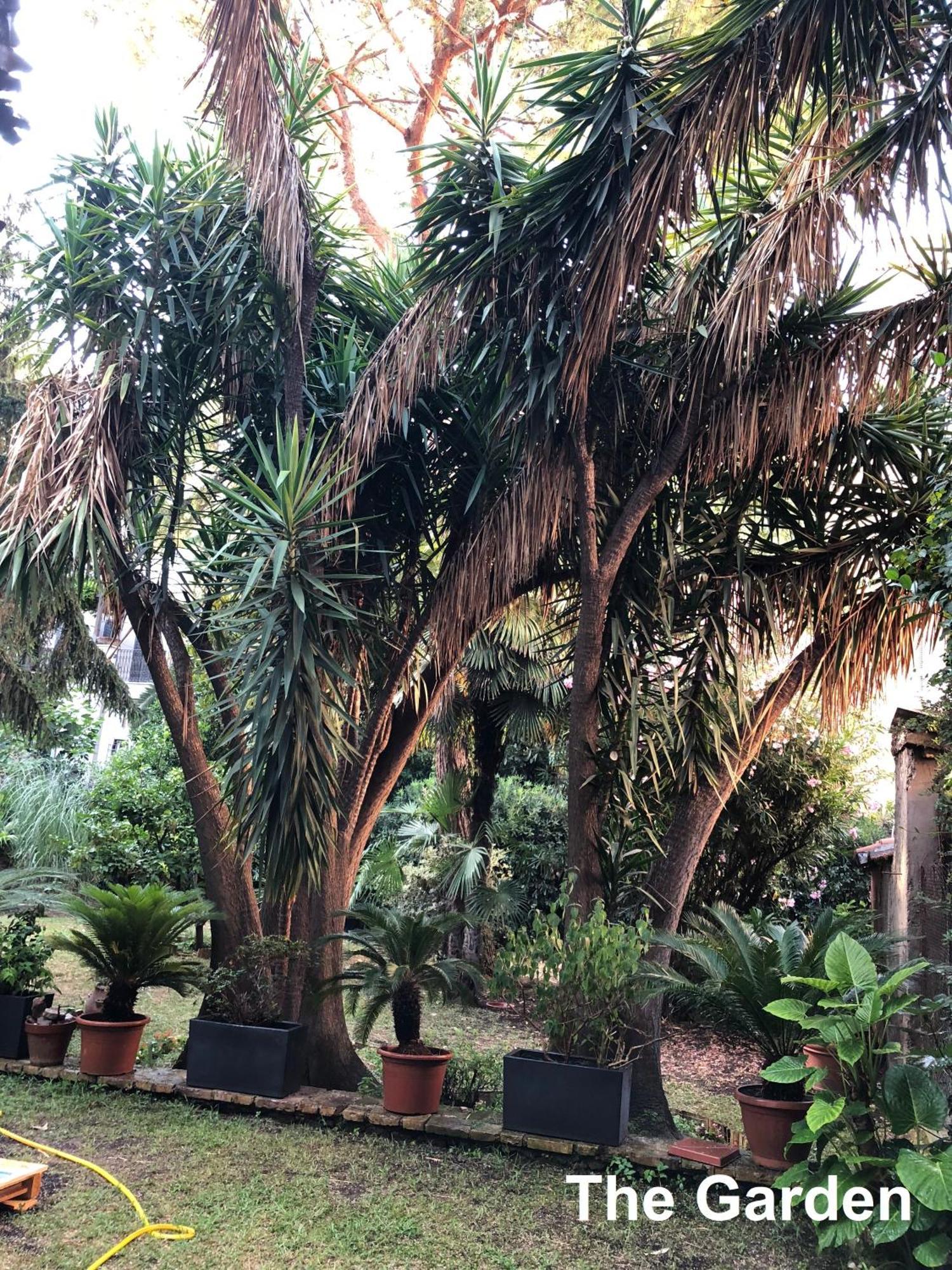 Le Tre M - Guesthouse Rome Exterior photo